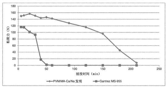 PVM/MA共聚物钙/钠和GantrezMS-955在37℃下的粘附测试比较
