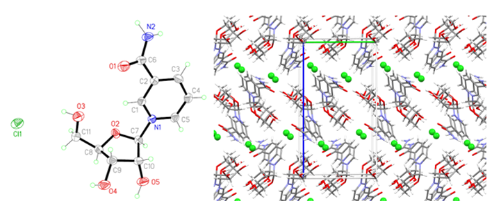 Figure 2. (a) Displacement ellipsoid diagram of the asymmetric unit of NR-Cl-Form B, ellipsoids drawn at 50% probability. (b) Crystal packing diagram of NR-Cl-Form B along the a axis. Figure 2. (a) Displacement ellipsoid diagram of the asymmetric unit of NR-Cl-Form B, ellipsoids drawn at 50% probability. (b) Crystal packing diagram of NR-Cl-Form B along the a axis.