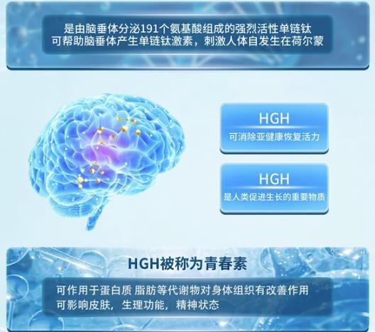 图2 人生长激素176-191作用机制示意图.png