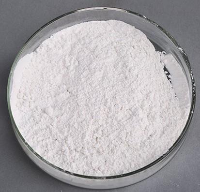 他克莫司一水合物的药理活性