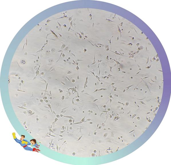 图片4.png 图片4.png