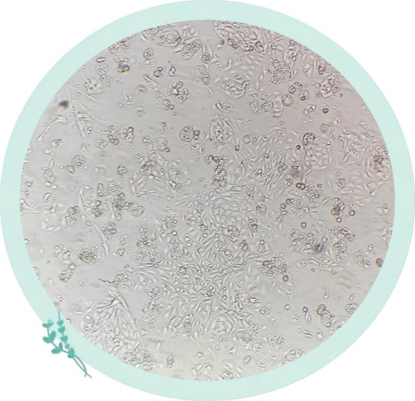 图片5.png 图片5.png