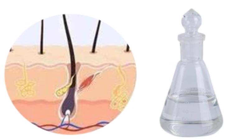 三肽-1的功效与应用