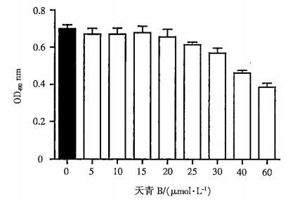 不同浓度天青B对N2a-APP695细胞活力的影响 不同浓度天青B对N2a-APP695细胞活力的影响