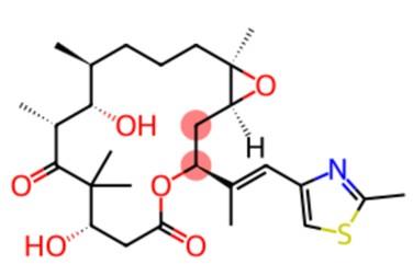 埃博霉素B的化学结构式
