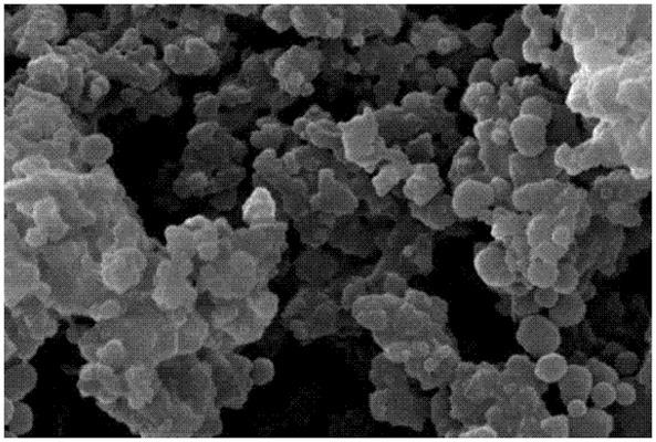 分子印迹聚合物的扫描电镜图.jpg 分子印迹聚合物的扫描电镜图.jpg