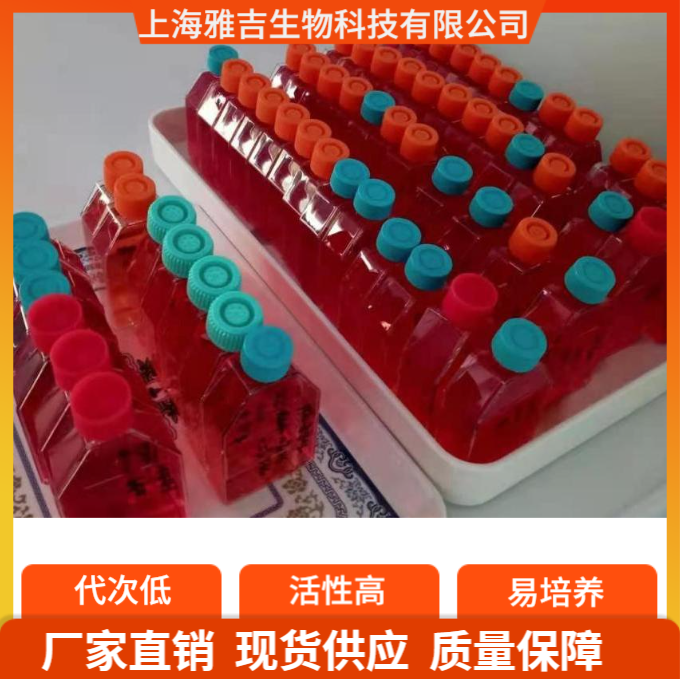 QQ图片20250709173030.png QQ图片20250709173030.png