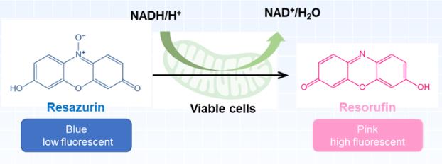 刃天青钠在微生物检测中的应用简介
