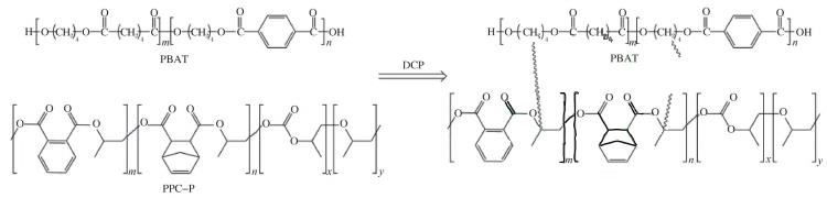 DCP增容聚对苯二甲酸-己二酸丁二醇酯 (PBAT树脂)PPC的原理.png