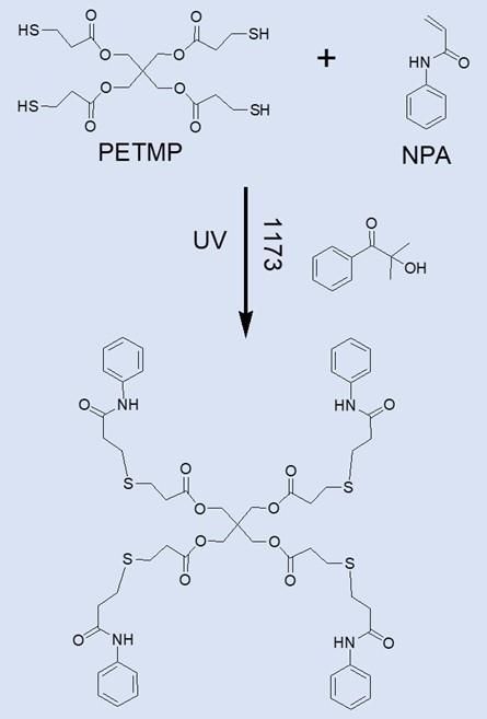 Thiol-ene click reactions of pentaerythritol tetra(3-mercaptopropionate)
