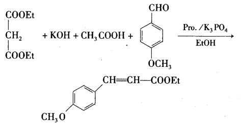 对甲氧基肉桂酸乙酯的合成反应式 对甲氧基肉桂酸乙酯的合成反应式