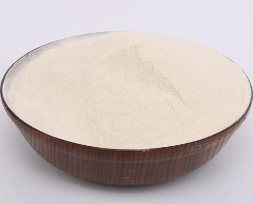 角豆胶的应用研究