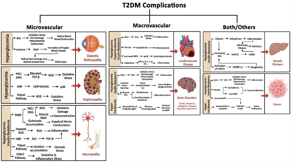 4 - 副本.png 4 - 副本.png