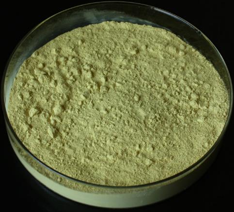 盐酸巴马汀的分析进展