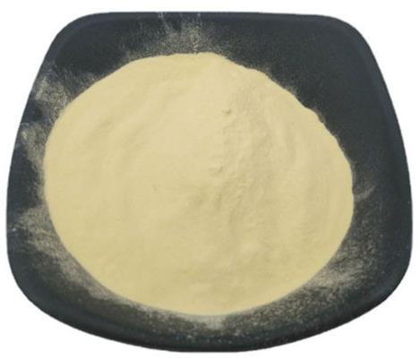 人参皂苷 CK的结构与制备进展