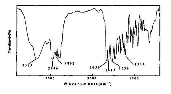 N-(3-二甲氨基丙基)甲基丙烯酰胺单体的红外光谱图.png N-(3-二甲氨基丙基)甲基丙烯酰胺单体的红外光谱图.png