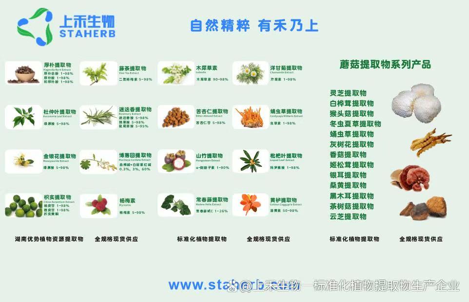 微信图片_20251111195524_19_3.jpg 微信图片_20251111195524_19_3.jpg