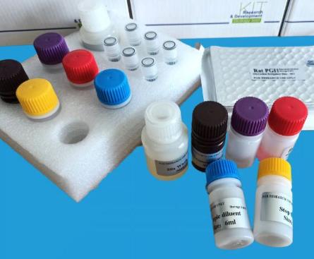 大鼠网膜素(OMENTIN)ELISA试剂盒