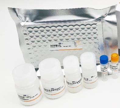 人细胞毒素(CTX)Elisa试剂盒