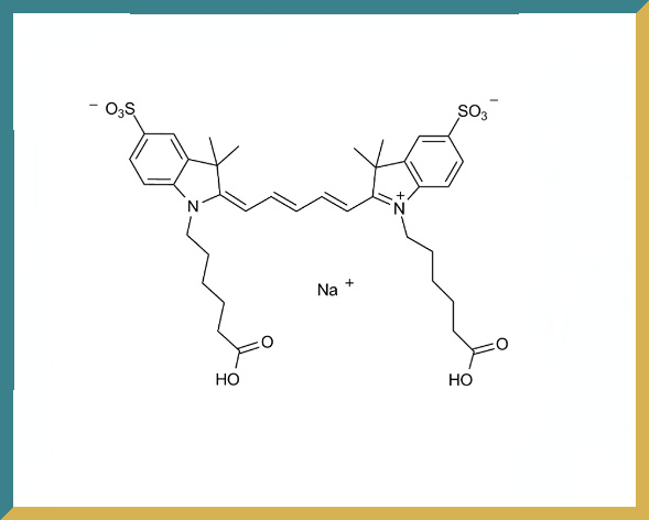 新研博美Cy5 Bis carboxylic acid.jpg