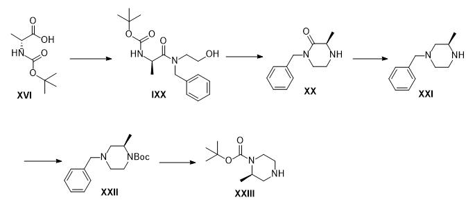 (R)-1-N-Boc-2-甲基哌嗪的合成路线 (R)-1-N-Boc-2-甲基哌嗪的合成路线