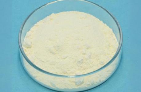 氯酞酸二甲酯的检测