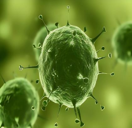 A172人胶质母细胞瘤细胞的药理活性