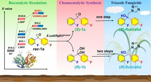 粉唑醇的简介及相关研究