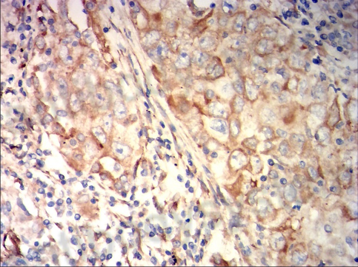 5 - 副本.jpg 5 - 副本.jpg