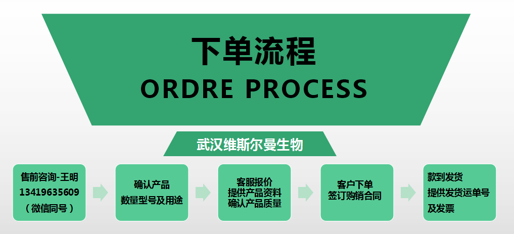 下单流程.png