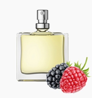 水杨酸甲酯可用于浆果香精中