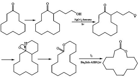 以环十二酮为原料合成环十五内酯反应途径