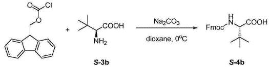 Fmoc-L-叔亮氨酸的制备与应用