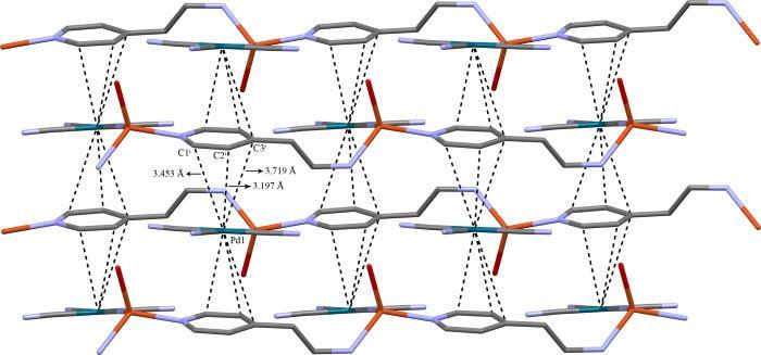 Pd-π相互作用.jpg