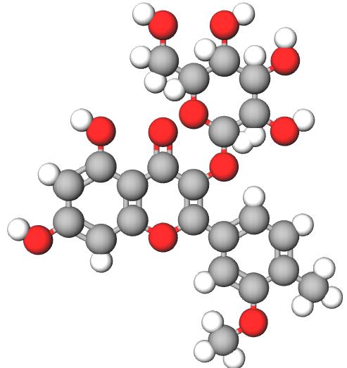 异鼠李素-3-O-葡萄糖苷的生物活性简介