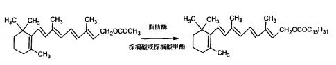 脂肪酶催化合成维生素 A 棕榈酸酯 脂肪酶催化合成维生素 A 棕榈酸酯