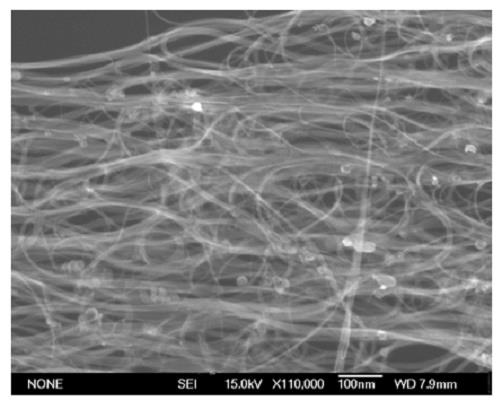 纯化后单壁碳纳米管的 SEM 照片.png 纯化后单壁碳纳米管的 SEM 照片.png