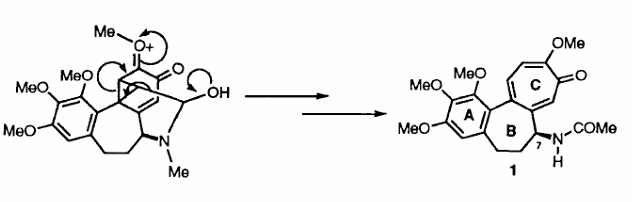 Late Stages in the Biosynthesis of Colchicine Late Stages in the Biosynthesis of Colchicine