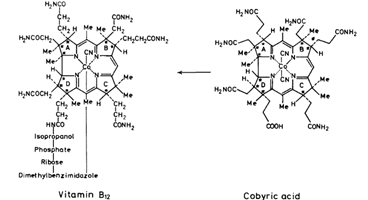 VITAMIN B12 VITAMIN B12