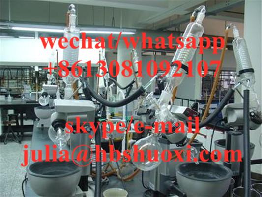 Article illustration