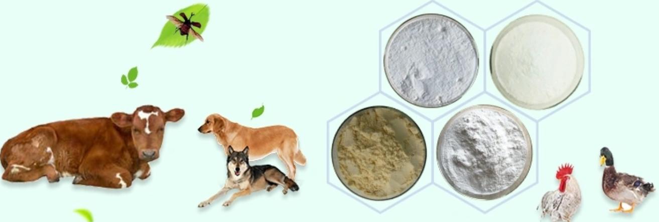 Article illustration