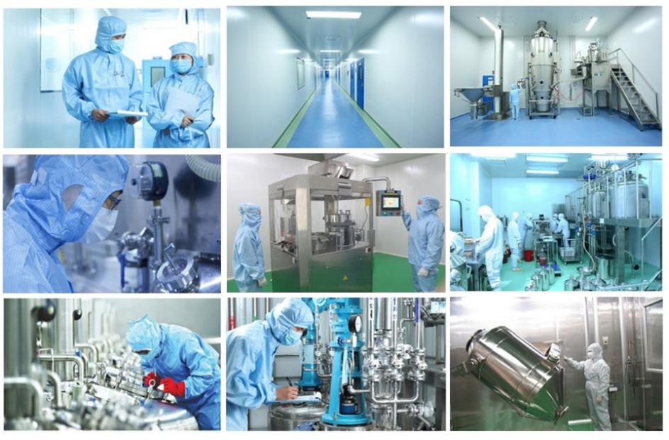 Hebei Lvyang Biotechnology Co.,Ltd- Enterprise Information-chemicalbook