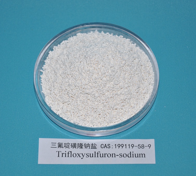 Trifloxysulfuron Sodium