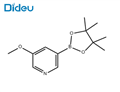 3-Methoxypyridine-5-boronic acid pinacol ester pictures