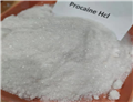 procaine hcl Procaine Hydrochloride