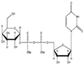 Uridine 5'-diphosphoglucose disodium salt(UDP-G)