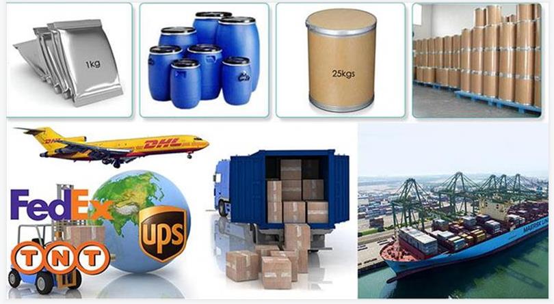 Article illustration