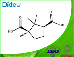 D-(+)-Camphoric acid USP/EP/BP