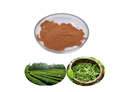 Green Tea Extract Powder Tea Polyphenols 98% pictures