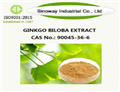 Ginkgo Biloba Extract